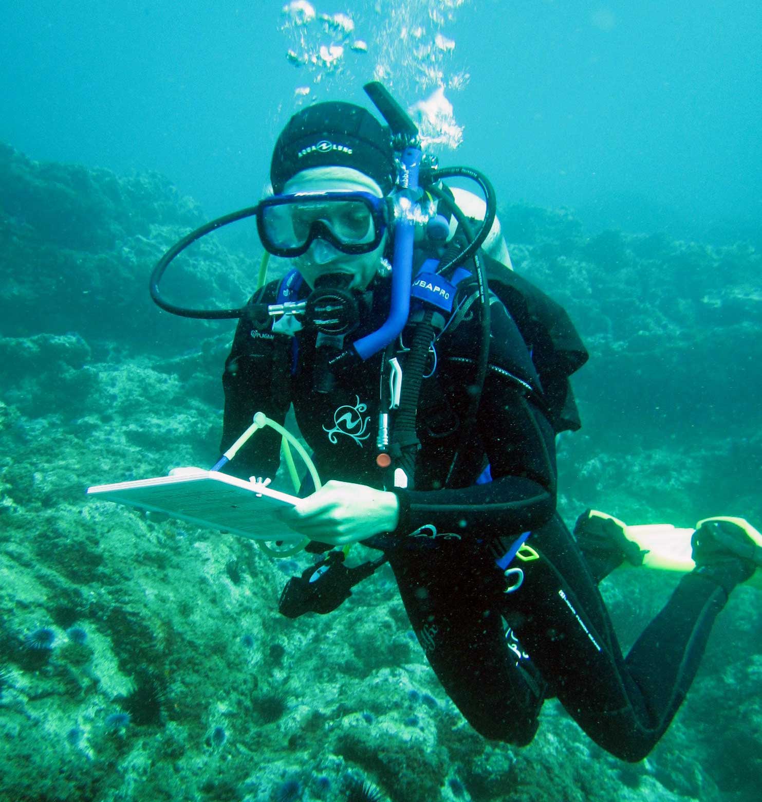 diver reading chart underwater