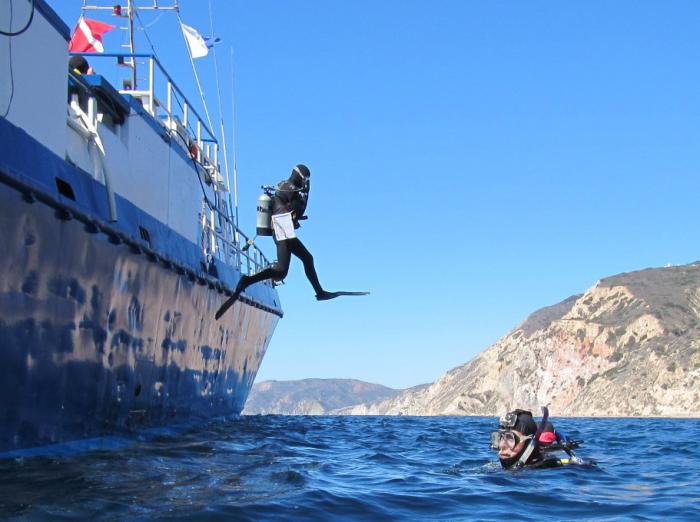 Diving off the boat