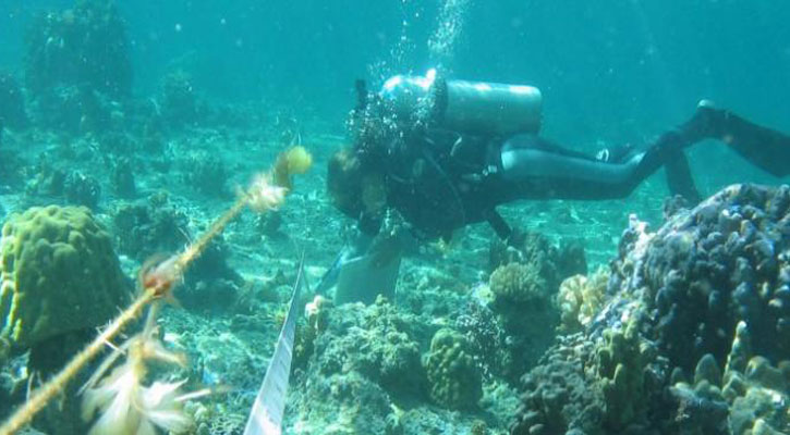 diver conducting research in ocean