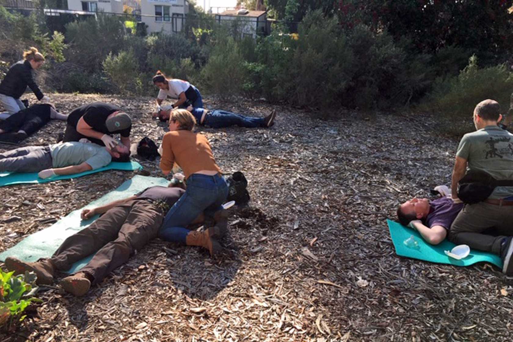 Practice First Aid Training