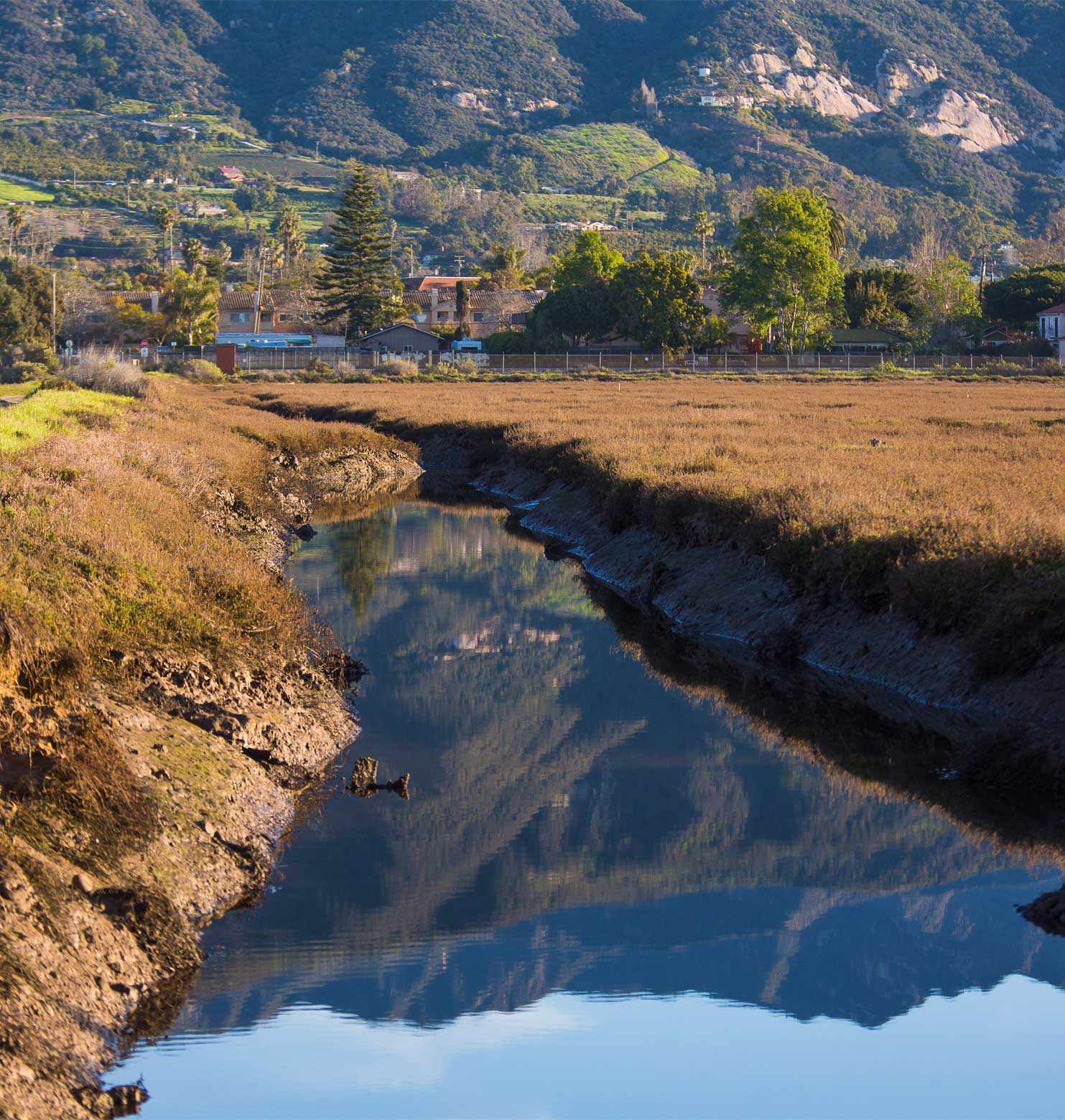 swamp land by ucsb campus