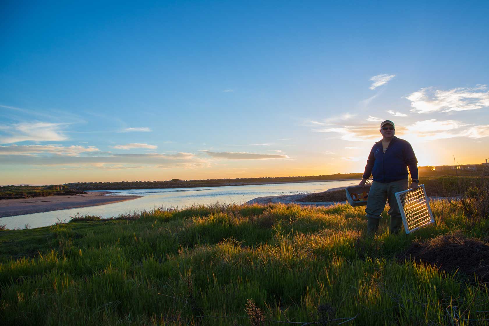 Researcher at Carpinteria Salt Marsh