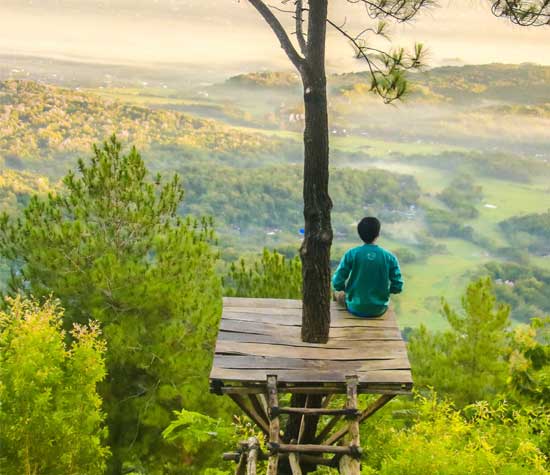 man sitting in a treehouse overlooking the valley