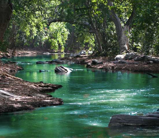 river stream