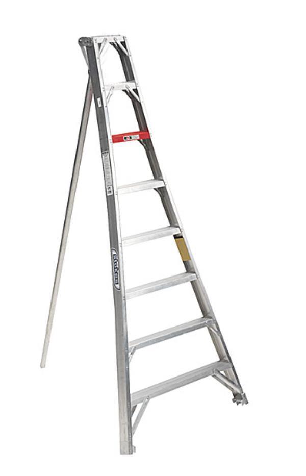 Tripod orchard ladder