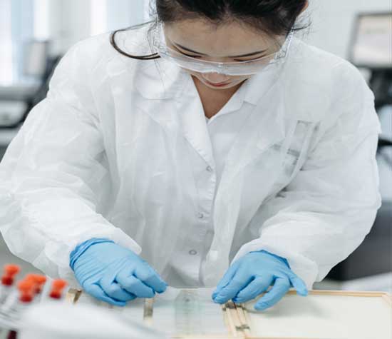 women working in the lab